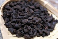 碎银子与大金芽哪个好 碎银子与大金芽的区别-茗扬网
