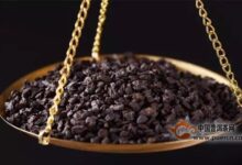 碎银子普洱茶的功效-茗扬网