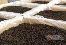 碎银子茶怎么区分好坏-茗扬网