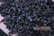 普洱茶碎银子最近热？怎么分好坏？-茗扬网
