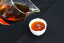 这个小青柑茶的冲泡方法，你没见过！-茗扬网