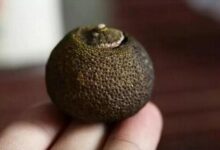 小青柑---满满心意、款款而来-茗扬网