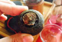 小青柑有没有收藏的价值么？小青柑会升值么？-茗扬网