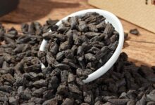 女人喝普洱熟茶茶化石的好处-茗扬网