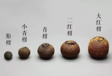 喝柑普茶,你需要了解这些-茗扬网