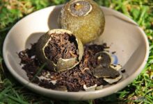 柑普茶真的可以减肥吗-茗扬网