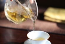 普洱生茶香气类型的分析-茗扬网