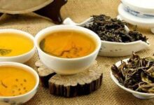 长期喝生普洱茶的坏处与注意事项-茗扬网