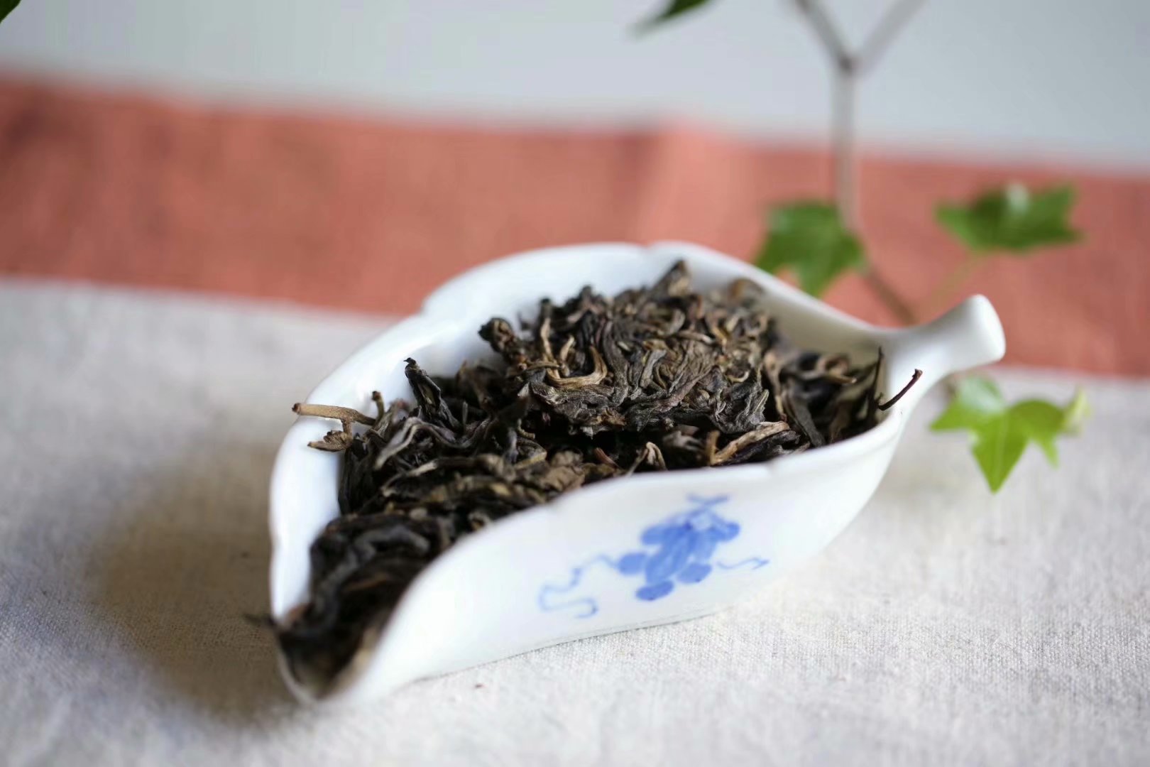 普洱生茶与熟茶在品质上有什么区别？