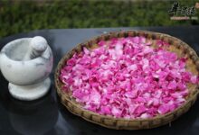 男性喝玫瑰花茶好不好 有什么作用-茗扬网