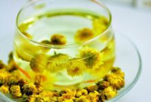 胎菊花茶可以每天喝吗-茗扬网