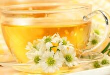 孕妇可以泡菊花茶喝吗-茗扬网