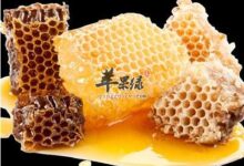 该怎样喝蜂蜜水效果才会更好-茗扬网