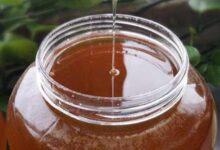 薰衣草蜜的作用与功效及食用方法-茗扬网