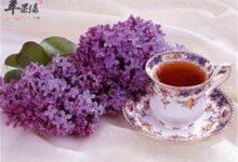 薰衣草丁香茶——舒缓压力安抚情绪-茗扬网