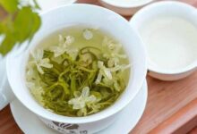 珠兰花茶和茉莉花茶的区别 喝花茶的注意事项-茗扬网