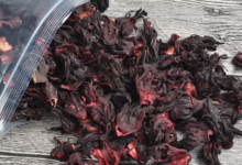 洛神花茶痛经可以喝吗  可以经常喝吗-茗扬网