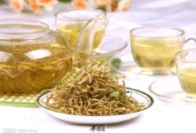常喝金银花茶对人体有什么影响-茗扬网