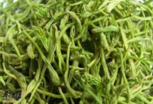 孕妇能喝保健的金银花茶吗-茗扬网