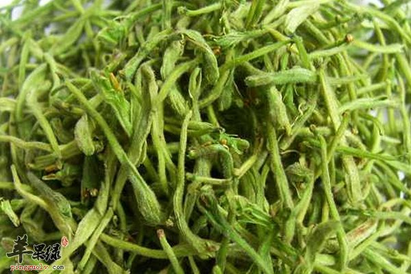 孕妇能喝保健的金银花茶吗