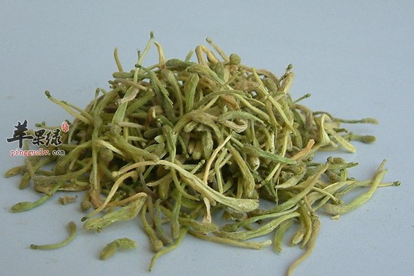 孕妇能喝保健的金银花茶吗