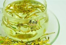 金银花泡水的禁忌 注意不要伤身-茗扬网