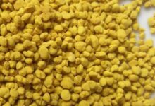 蜂花粉如何保存 蜂花粉的储存方法-茗扬网