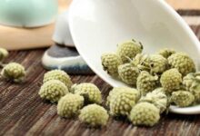 绿萝花茶的药用价值与功效-茗扬网