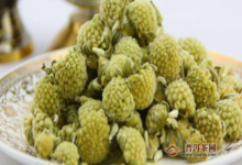 绿萝花茶可以减肥吗？绿萝花茶的好处-茗扬网