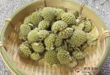 绿萝花茶副作用，绿萝花茶饮用注意事项-茗扬网