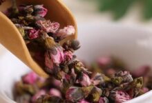 桃花茶和什么搭配好 桃花茶搭配什么泡水喝-茗扬网