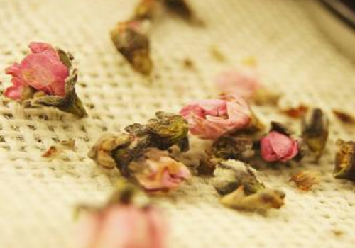 桃花茶经期可以喝吗 可以加蜂蜜吗