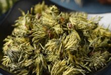 怎样泡杜仲雄花茶才正确-茗扬网