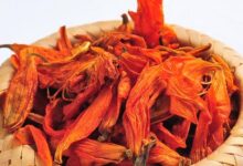 干百合花泡水喝的功效与作用-茗扬网