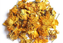 金莲花茶的副作用-茗扬网