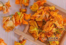 金莲花茶的作用-茗扬网