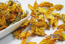 金莲花茶的功效与禁忌-茗扬网