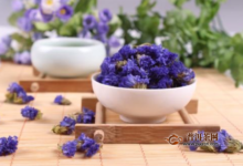 勿忘我花茶的搭配，勿忘我花茶的喝法-茗扬网