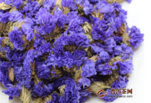 勿忘我花茶可以搭配什么花茶喝-茗扬网