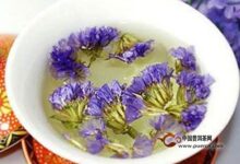勿忘我花茶饮用禁忌-茗扬网