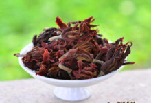 玉兰花茶怎么泡好喝-茗扬网