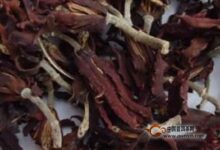 玉兰花茶的禁忌-茗扬网