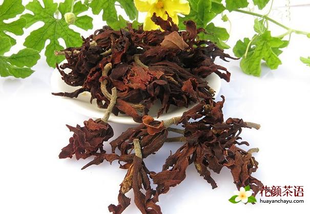 玉兰花茶药效制作方法 主治鼻塞流浓涕头痛淡化色斑