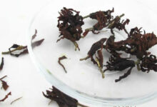 喝玉兰花茶有哪些好处-茗扬网