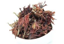 玉兰花茶和什么搭配好-茗扬网