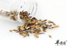 葛花茶——清热解毒解酒-茗扬网