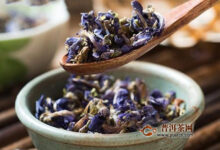 葛花茶怎么泡-茗扬网