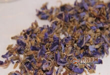 葛花茶可以长期喝吗-茗扬网