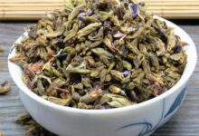 葛花茶的功效与作用及禁忌-茗扬网