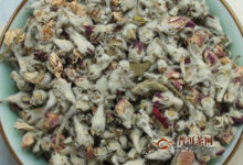 苹果花茶的禁忌-茗扬网